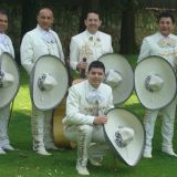 mariachi traje de gala blanco agrupacion mariachi mexicolombia