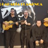 algarabia flamenca 46068