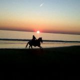 puesta de sol en playa arte andaluz