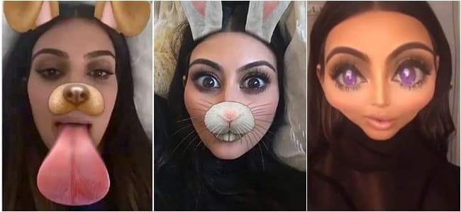 Filtro de cara de perro