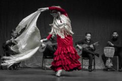 flamenco temple entrevista