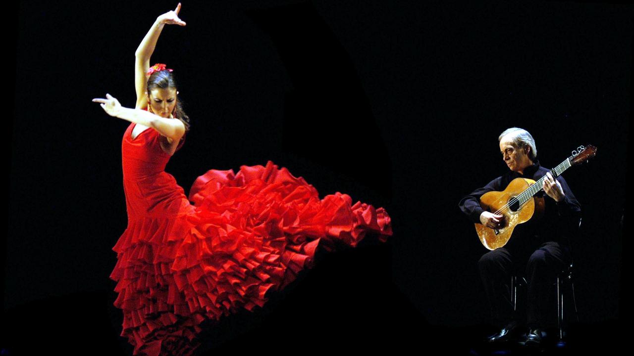 Resultado de imagen de flamenco