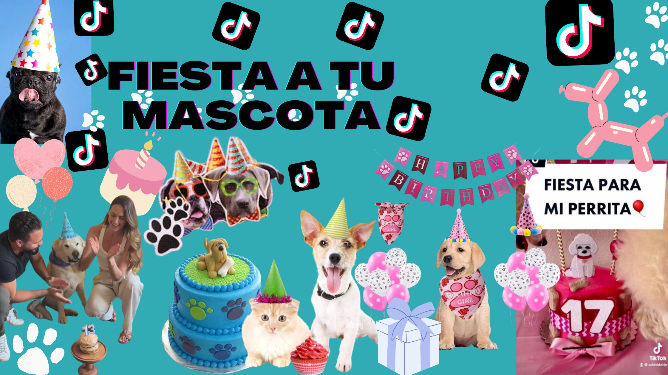 celebrar el cumpleaños de tu mascota ya es algo muy frecuente, además es uno de los contenidos más virales de Internet. 