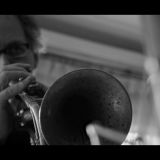 trompeta jazz celia mayo