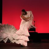 ma jose franco 2 compania de danza flamenca ma jose franco