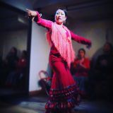 compania flamenca danzarte 35867