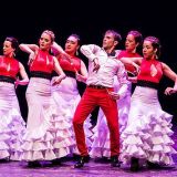 desafio flamenco 45955