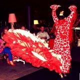 espectaculo flamenco bailaoras 19525