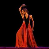 flamenco querencia 55043