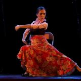 flamenco querencia 55044