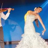 flamenco violin 69940