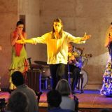 flamenco show mallorca inear