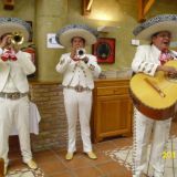 mariachi sones de mexico internacional 11980