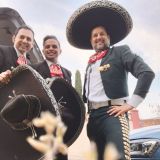 mariachis trompetas de mexico 54272