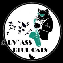 muvass bluecats