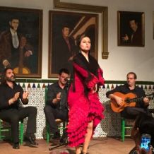 cuadro de baile flamenco pilar patricio