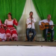 flamenco jakaranda