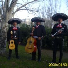 mariachi sones de mexico internacional