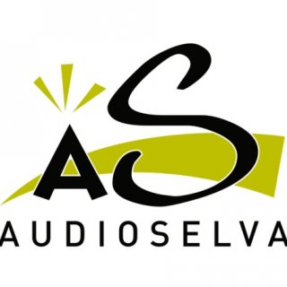 audioselva sl