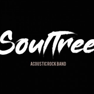 soul tree acoustic band