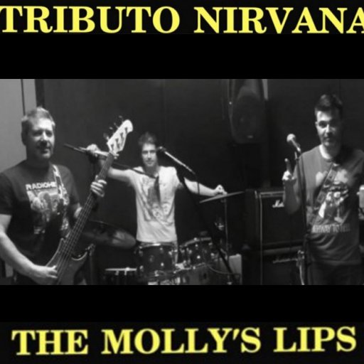 Banda Tributo - The Molly’s Lips - Información y contratación