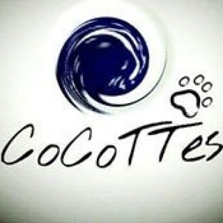 cocottes