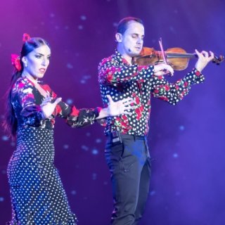 flamenco violin