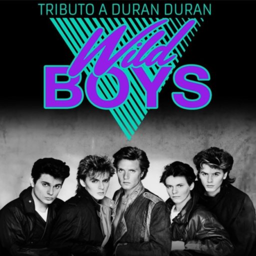 Banda Tributo - Tributo a Duran Duran - Wild Boys - Información y contratación