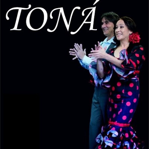 TONÁ Grupo Flamenco