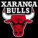 Xaranga Bulls