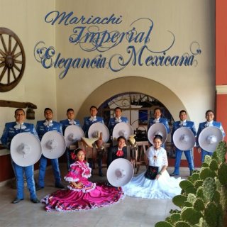 mariachi imperial elegancia mexicana