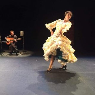 vive flamenco