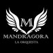 Orquesta Mandrágora