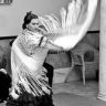 espectaculo flamenco bailaoras 19524