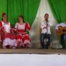 flamenco jakaranda flamenco jakaranda
