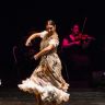 cia tomas sanchez ballet flamenco zambra villa cortijo sl 42259