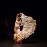 cia tomas sanchez ballet flamenco zambra villa cortijo sl 42263