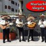 mariachi alegria 48747