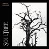 soul tree acoustic band 60319