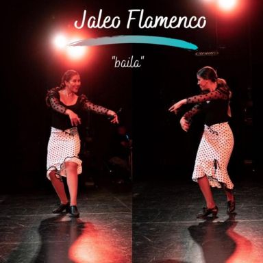 Jaleo Flamenco Show