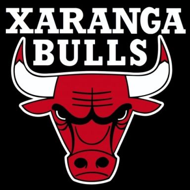 xaranga bulls